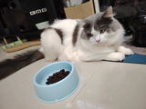 Lyn Toh review photo