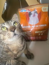 Paw review photo