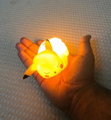 User picture
