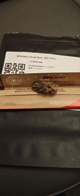 Niko review photo