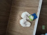Cliente review photo