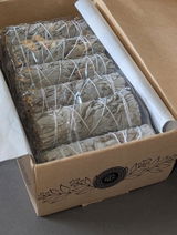 DBStevens review photo