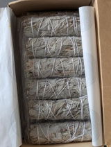 DBStevens review photo