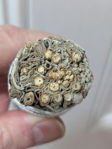 DBStevens review photo