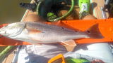 Buoyancy 7'0" Light Casting Extra Fast
