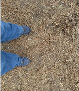 Review photo from Megan Tracy Benson