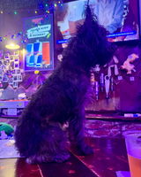 Review photo from Christopher Gray