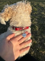 Etsy customer review photo