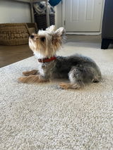 Etsy customer review photo