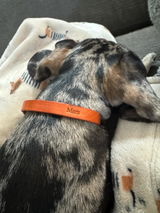 Etsy customer review photo