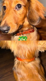 Etsy customer review photo