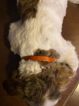 Etsy customer review photo