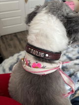 Etsy customer review photo