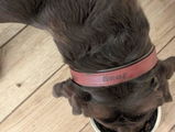 Etsy customer review photo