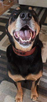 Etsy customer review photo