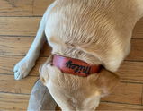Etsy customer review photo