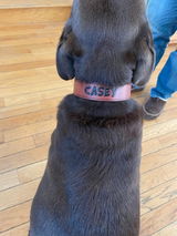 Etsy customer review photo