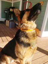 Etsy customer review photo