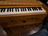 Norma review photo