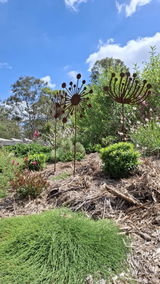 Narinda Sandry review photo