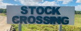 Luke Stock review photo