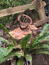 Narelle review photo