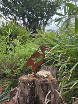 Narelle review photo