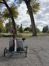 Customer photo from a review of Hickory Iron Shafts