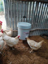 Cristian Delgado review photo