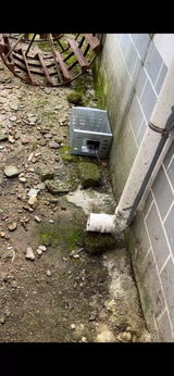 Tommaso Basile review photo