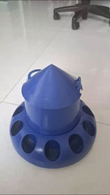 Alessandro Rossi review photo