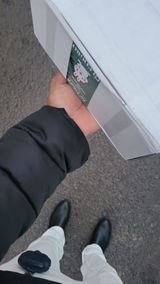 Daacad review photo