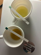 Foundation for the Conservation of the Maltese Honey Bee (VO/2403) review photo