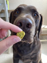 Ashleigh S. review photo