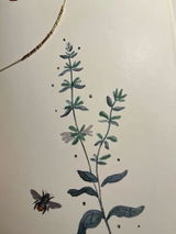 Cordie L review photo