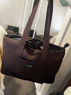 Rover (Black) Large Neoprene Tote - With Zip Closure