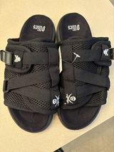 showind c. review photo