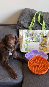 mistergoldenwaffle review photo