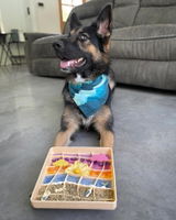 @GooseTheGermanAussie review photo