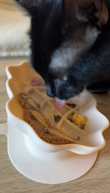 Vicky & Tachi review photo