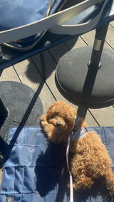 Anonymous review photo