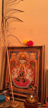 Dhanashree review photo
