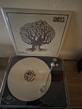 Den Steele review photo