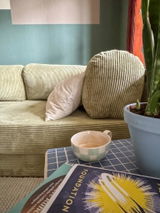 mosche review photo