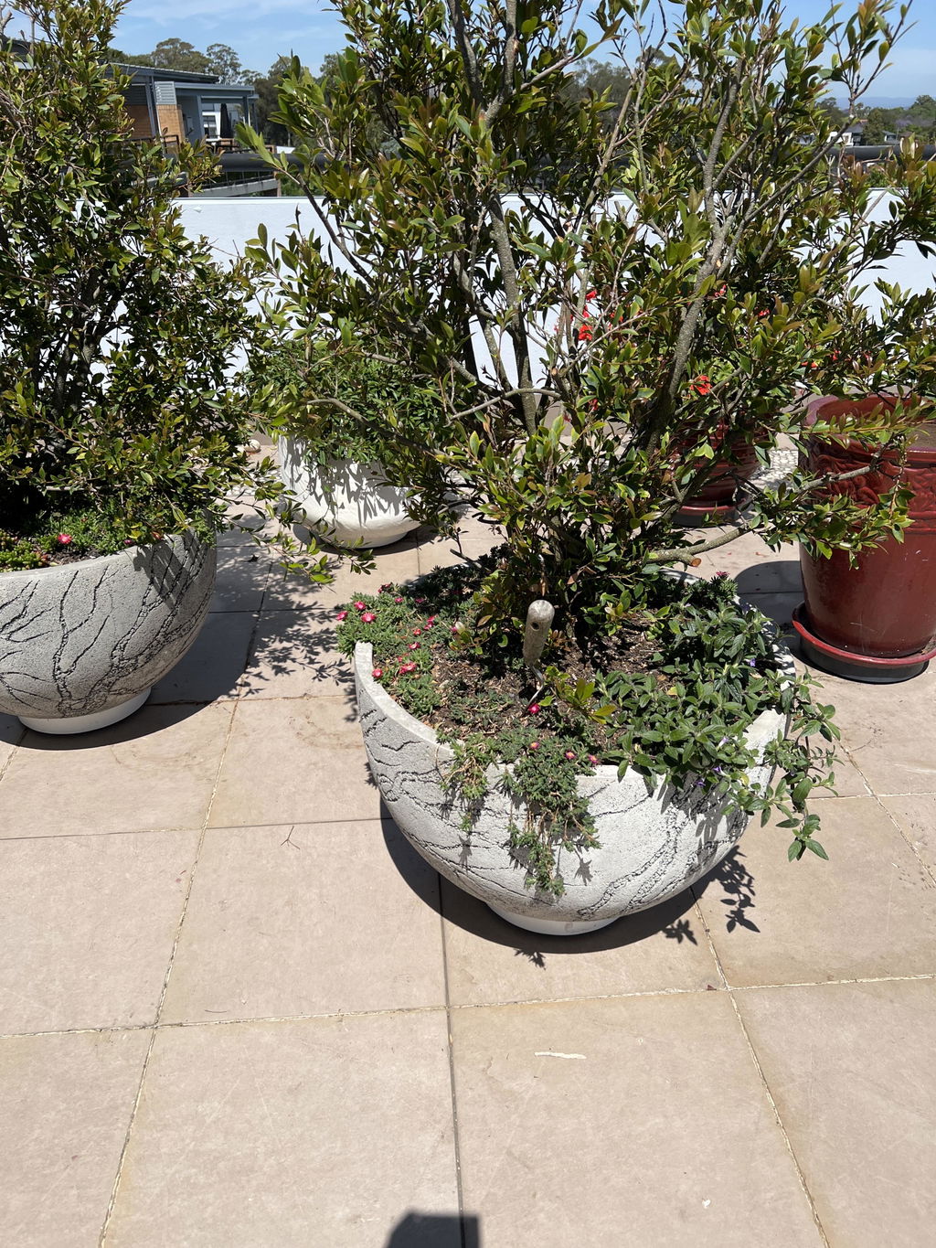Omnia Plant Glider - 90kg - 4 Pack