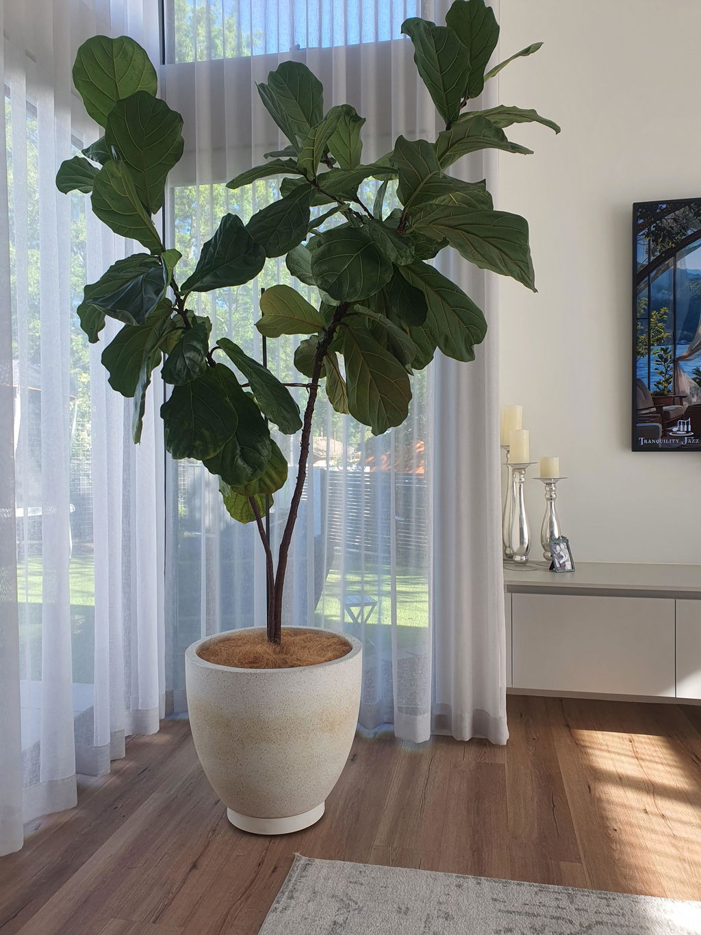The Original Plant Glider | 30cm (90kg)