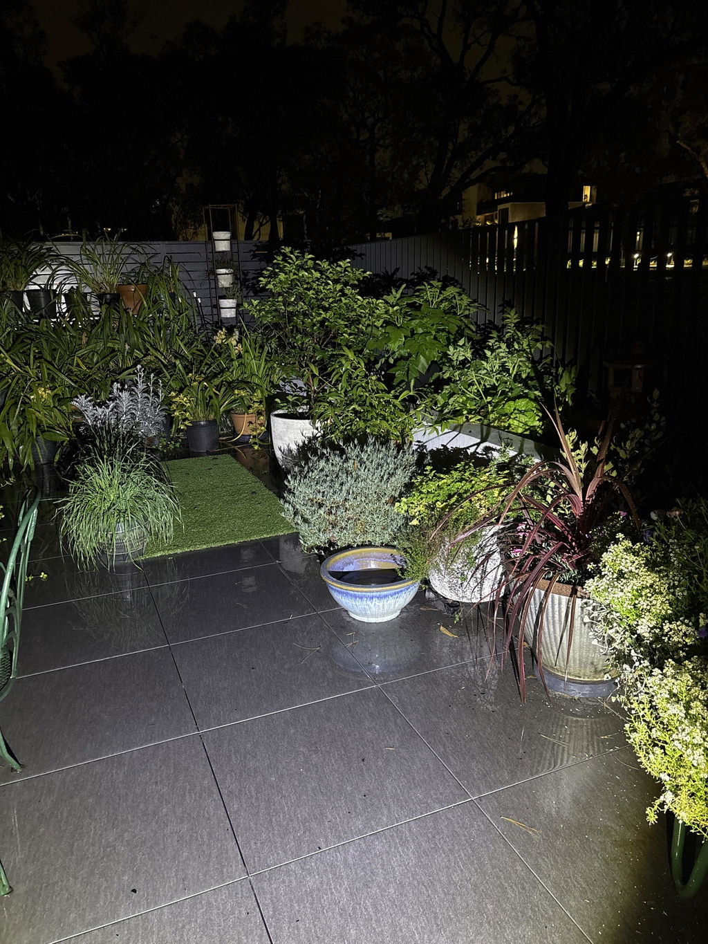 The Original Plant Glider | 30cm (50kg)