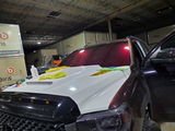 Wolfpack W. review photo