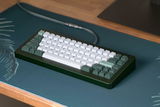 Lucas T. review photo
