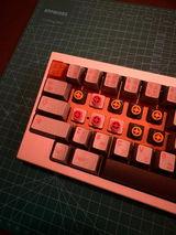 Niccolò B. review photo